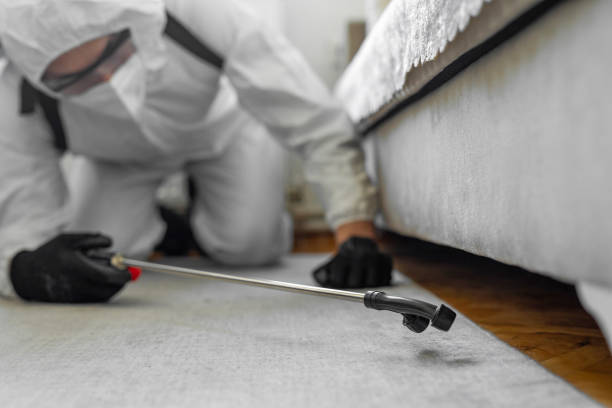 Professional Emergency Pest Control technician working in Grandview Plaza, KS