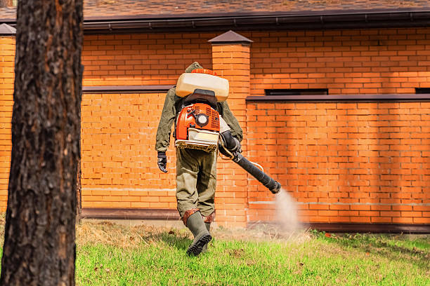 Trusted Bed Bug Control service in Grandview Plaza, KS - Nex Pest Control